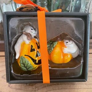 lue Sky Halloween 2022  “WHITE GHOSTS” Salt & Pepper Set